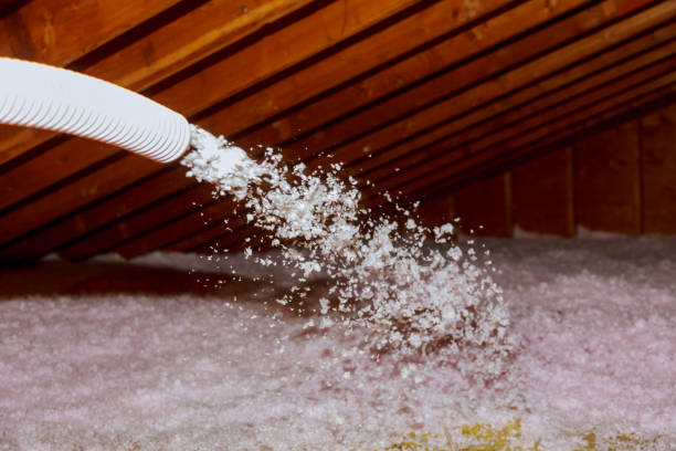 Best Insulation Maintenance and Repair in Grant, NE